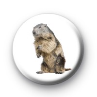 Beaver Badge