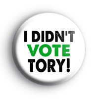 I Didn't Vote TORY Green Badge