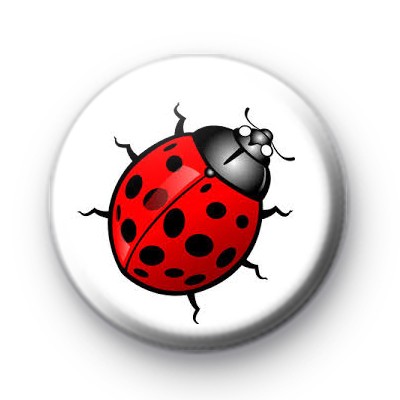 Ladybird (ladybug) Badges